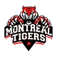CF Montreal